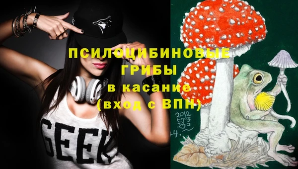 гашиш Богородицк