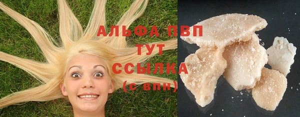 спиды Богородск