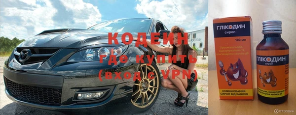 спиды Богородск