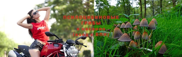 jwh Богданович