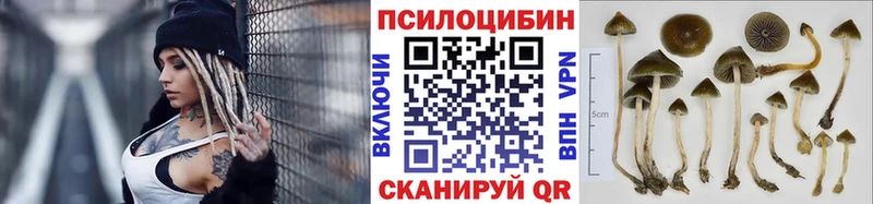 mega рабочий сайт  Котовск  Псилоцибиновые грибы мицелий 